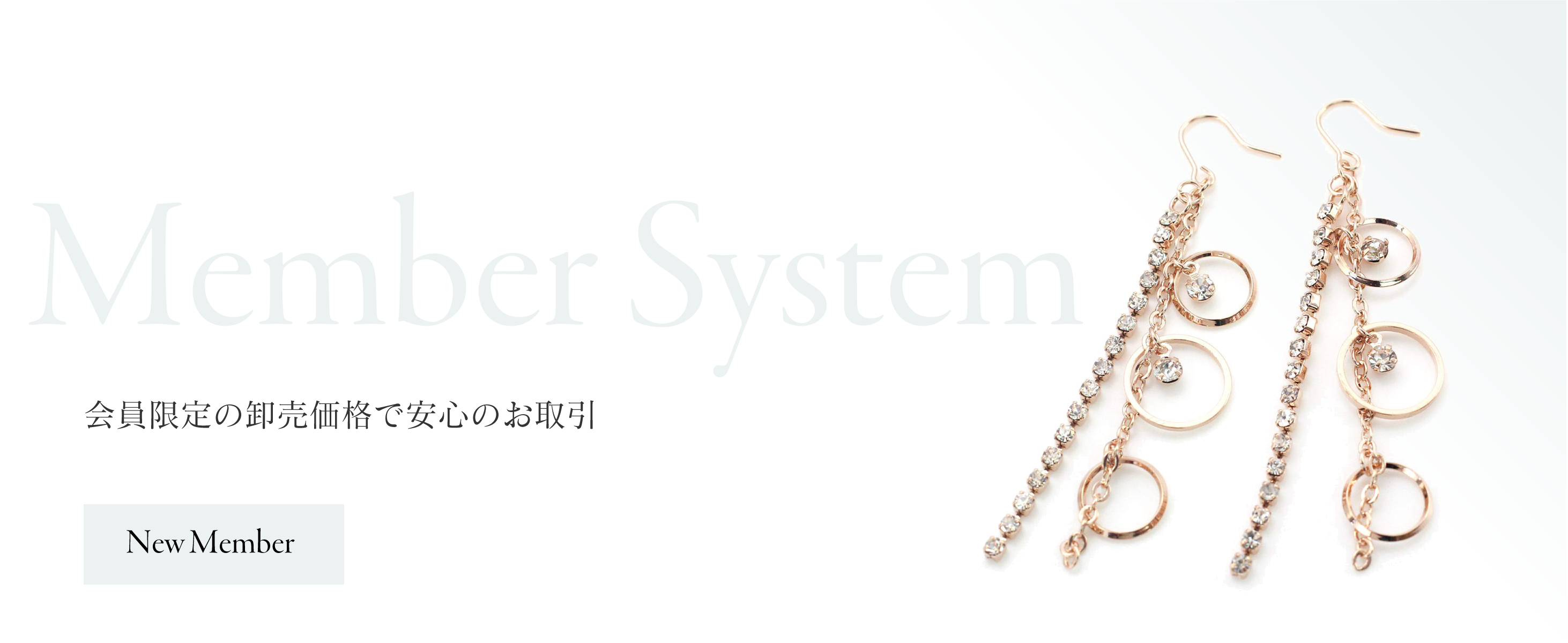 ヴィサージュジャパン2