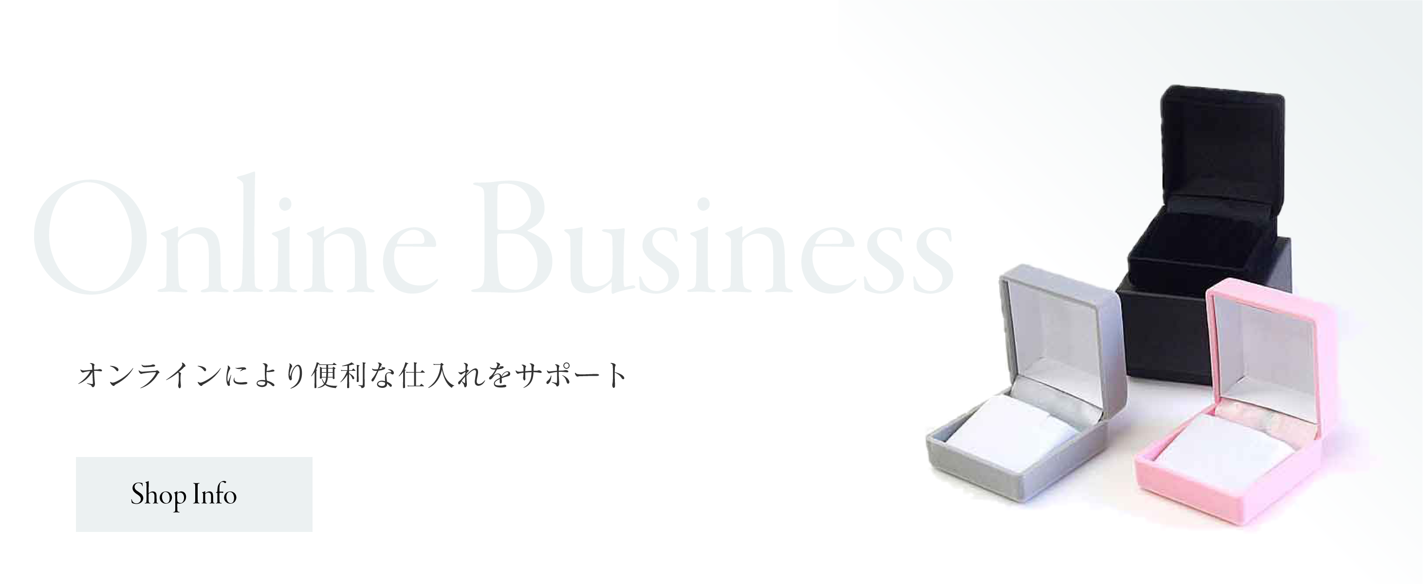 ヴィサージュジャパン3