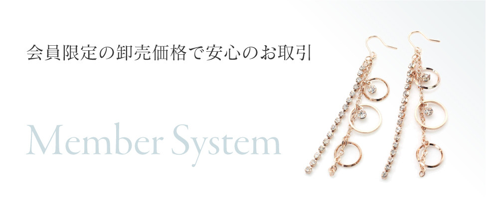 ヴィサージュジャパン2